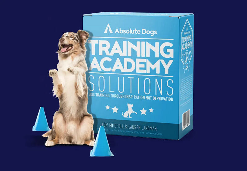 Absolute Dogs Training Academy