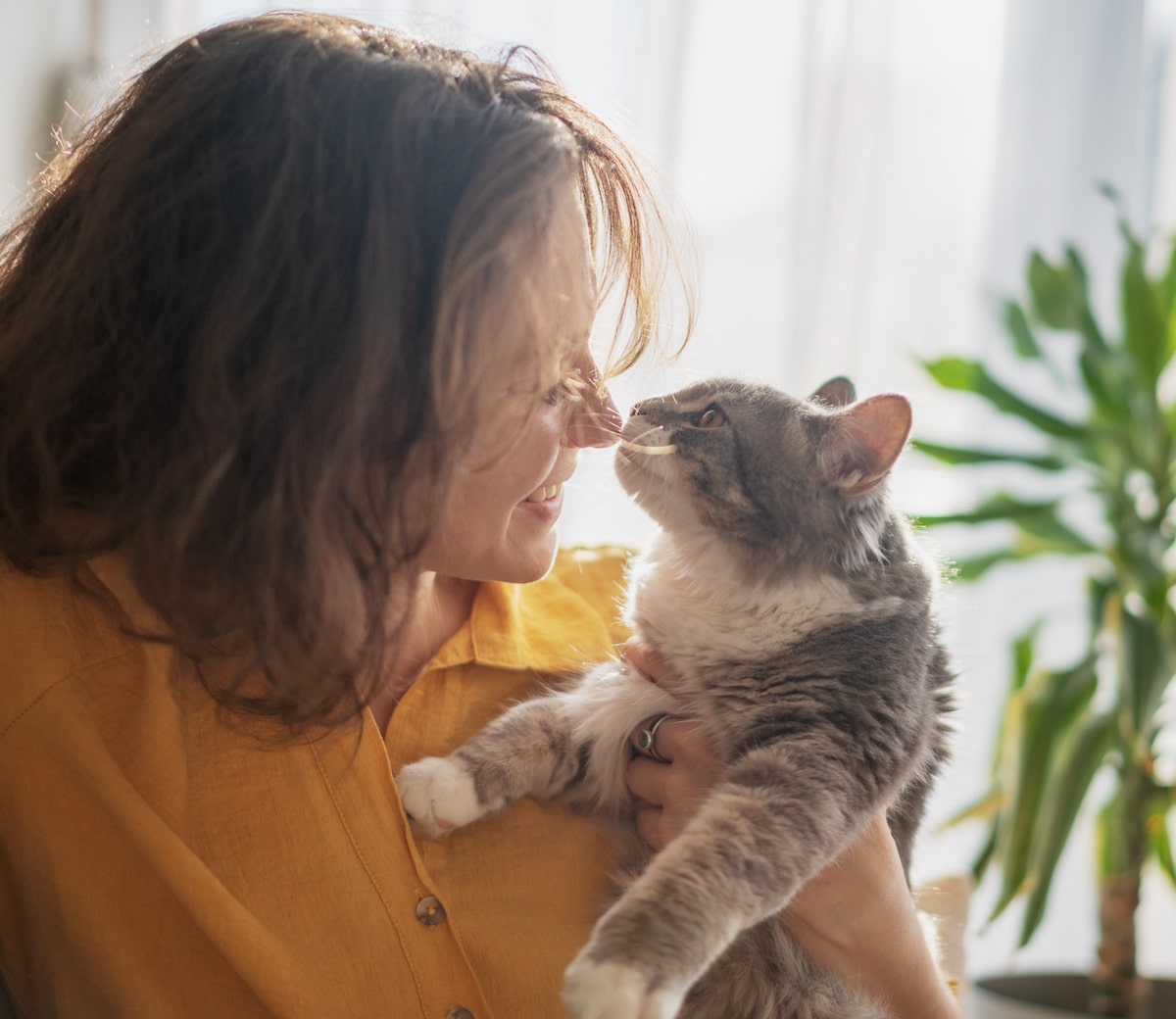 Taking care of cats comes with these 6 challenges