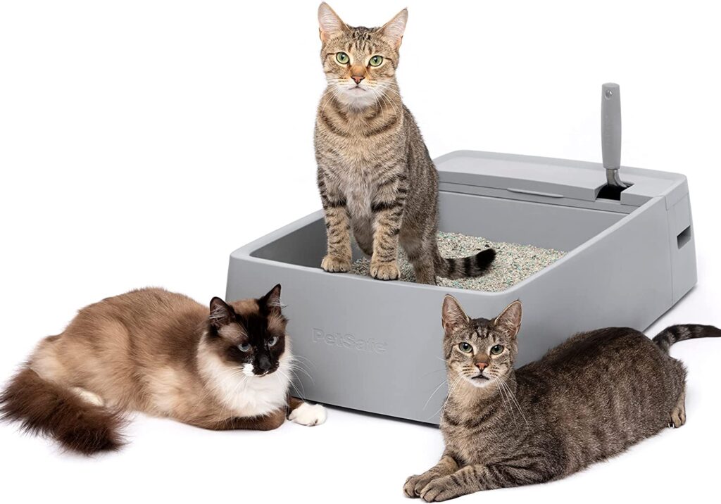PetSafe Multi-Cat Litter Box - Extra Large