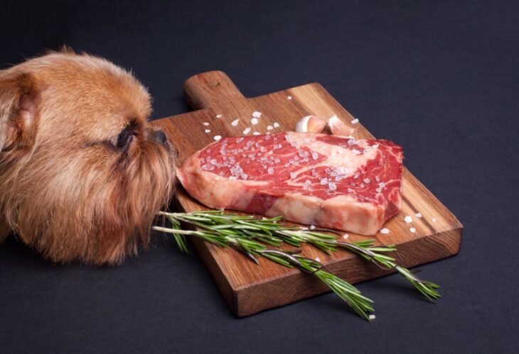 Do Dogs Eat Raw Meat?